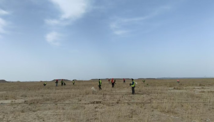 【“三抓三促”行動】不負春日好時光，全力沖鋒“三北”建設(shè)